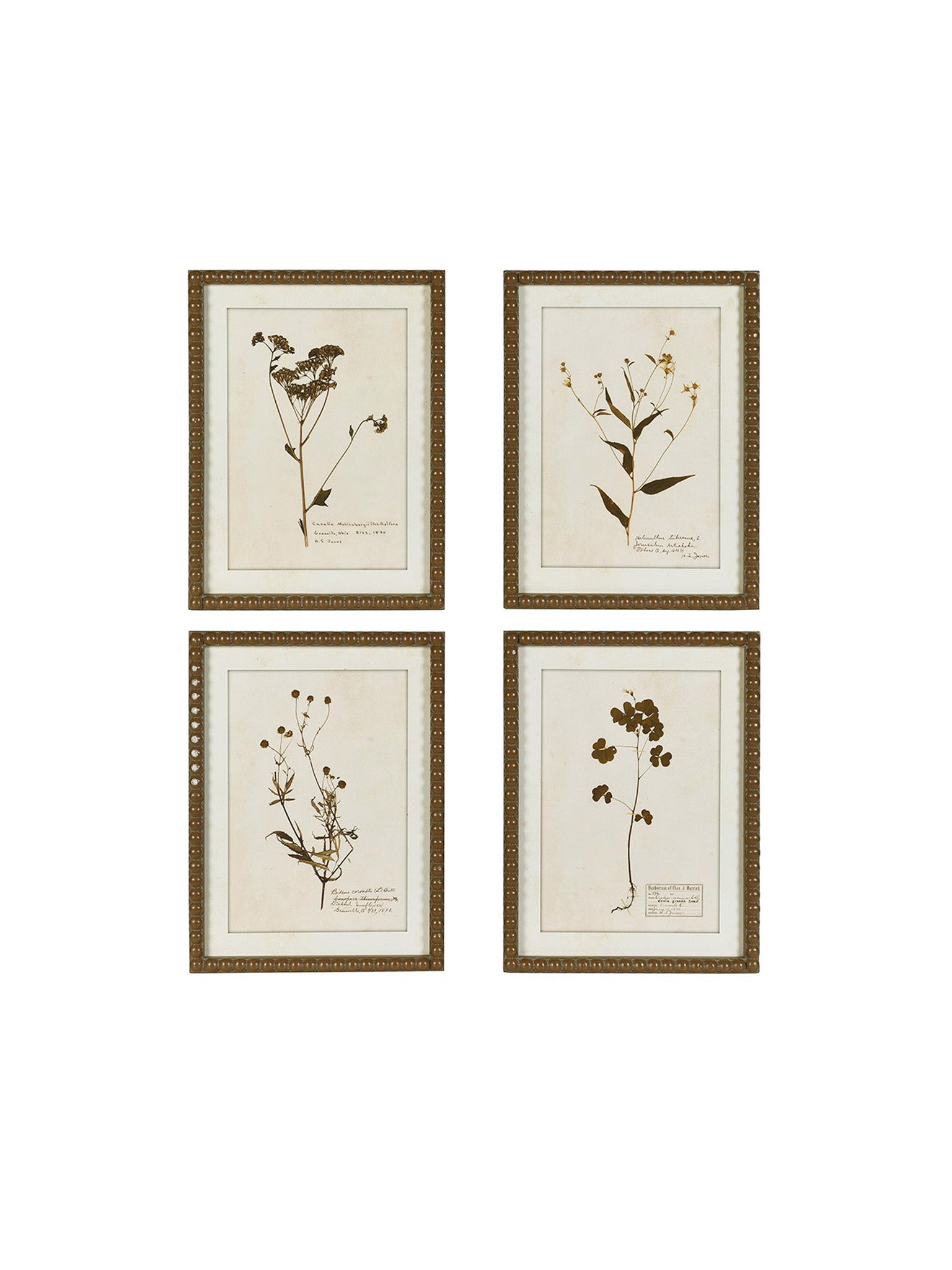 A set of four vintage floral prints with detailed bobble wooden frames painted in brown, showcasing different floral arrangements.