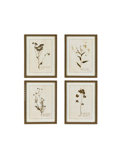 A set of four vintage floral prints with detailed bobble wooden frames painted in brown, showcasing different floral arrangements.