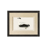 Framed duck art print featuring a black and white illustration of a duck on a beige mat with a dark textured frame, shown against a plain white background.