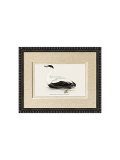 Framed duck art print featuring a black and white illustration of a duck on a beige mat with a dark textured frame, shown against a plain white background.