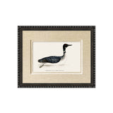 framed wall art antique duck in linen mount