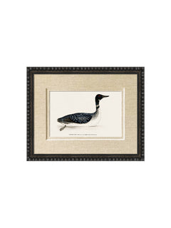 framed wall art antique duck in linen mount