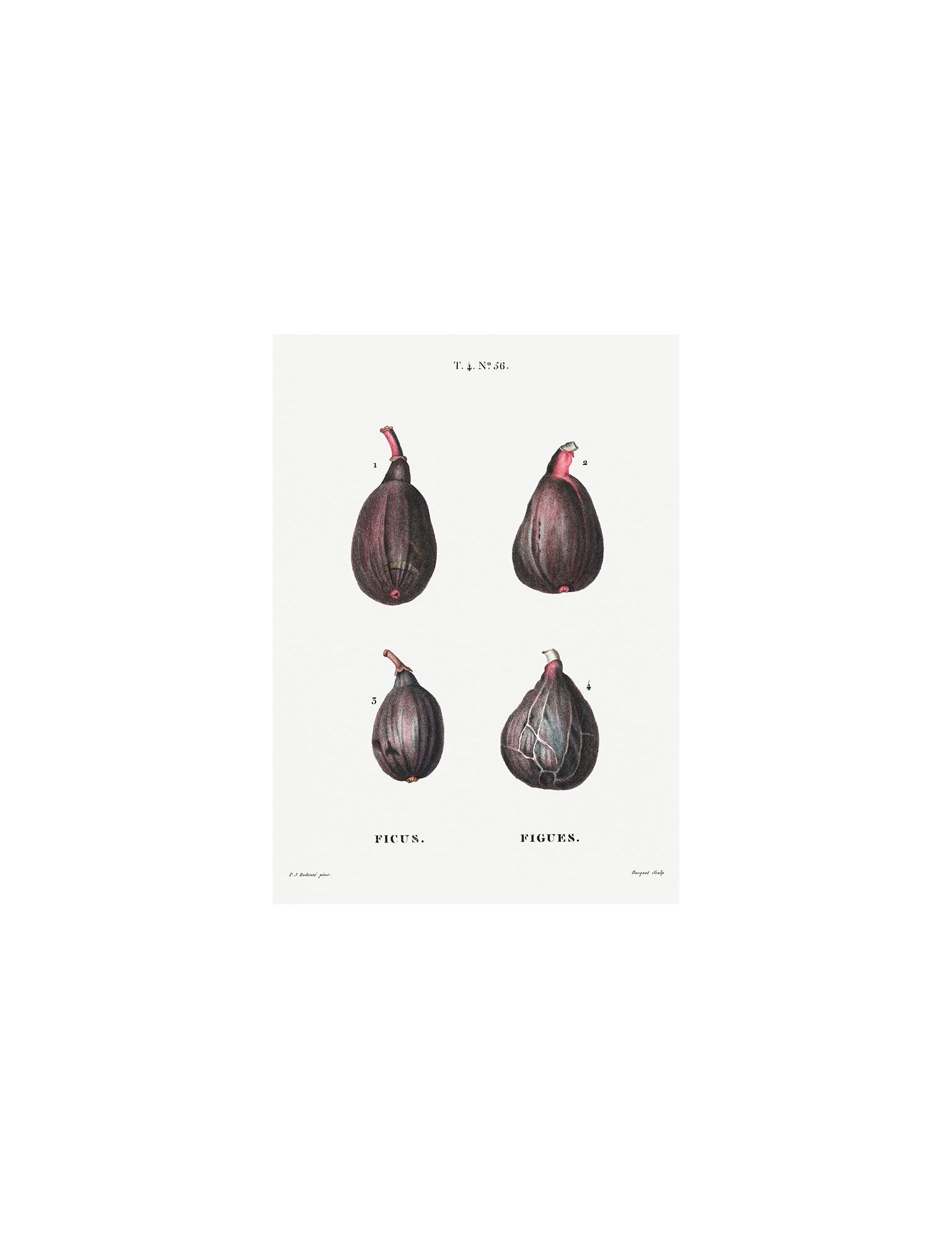 Art Prints – Hudson Home