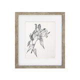 Vintage Black and White Floral IV Framed Print