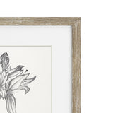 Vintage Black and White Floral IV Framed Print