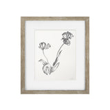 Vintage Black and White Floral III Framed Print