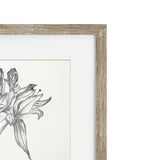 Vintage Black and White Floral III Framed Print