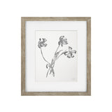 Vintage Black and White Floral II Framed Print