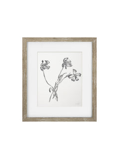framed black and white floral print in a oak frame