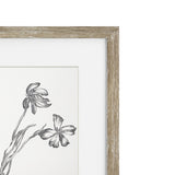 Vintage Black and White Floral II Framed Print