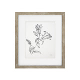 Vintage Black and White Floral I Framed Print
