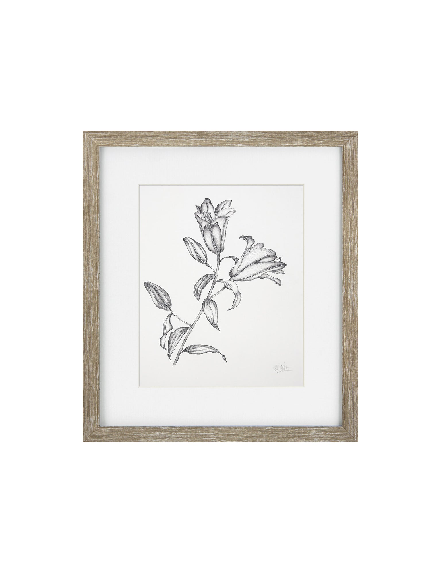 Framed Artwork of a black and White Floral Drawing Framed in a Grey Oak Frame 