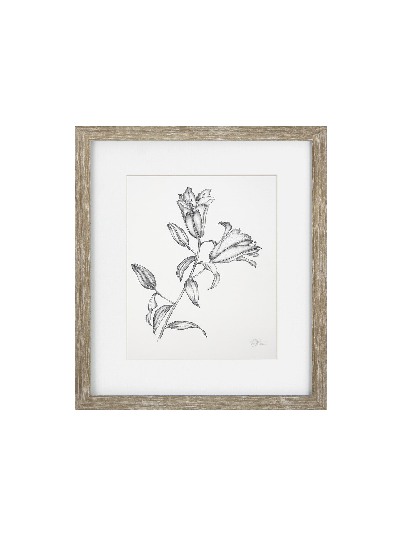 Framed Artwork of a black and White Floral Drawing Framed in a Grey Oak Frame 