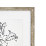 Vintage Black and White Floral I Framed Print