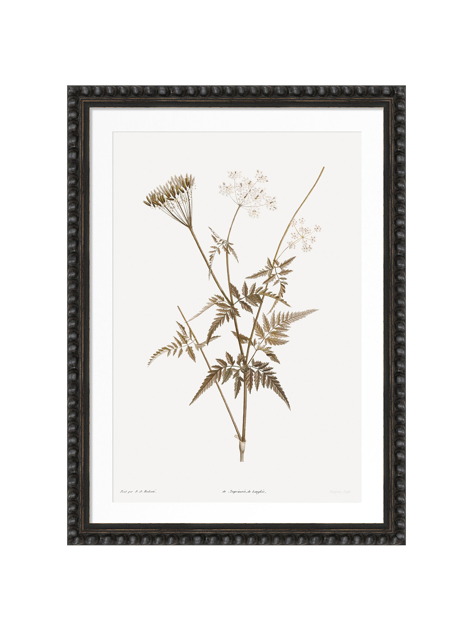 Vintage floral print framed in a dark wooden bobble frame