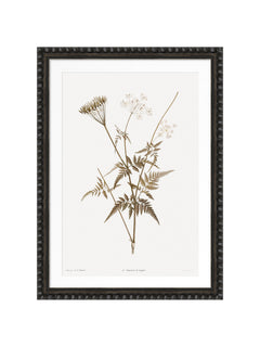 Vintage floral print framed in a dark wooden bobble frame