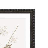 Sepia Floral I Framed Artwork with Bobble Frame
