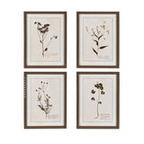 Set of 4 Delicate Floral Framed Prints