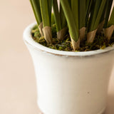 Faux Snowdrop in Ceramic Pot