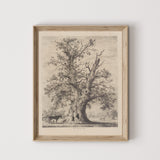 The Oak Tree Art Print