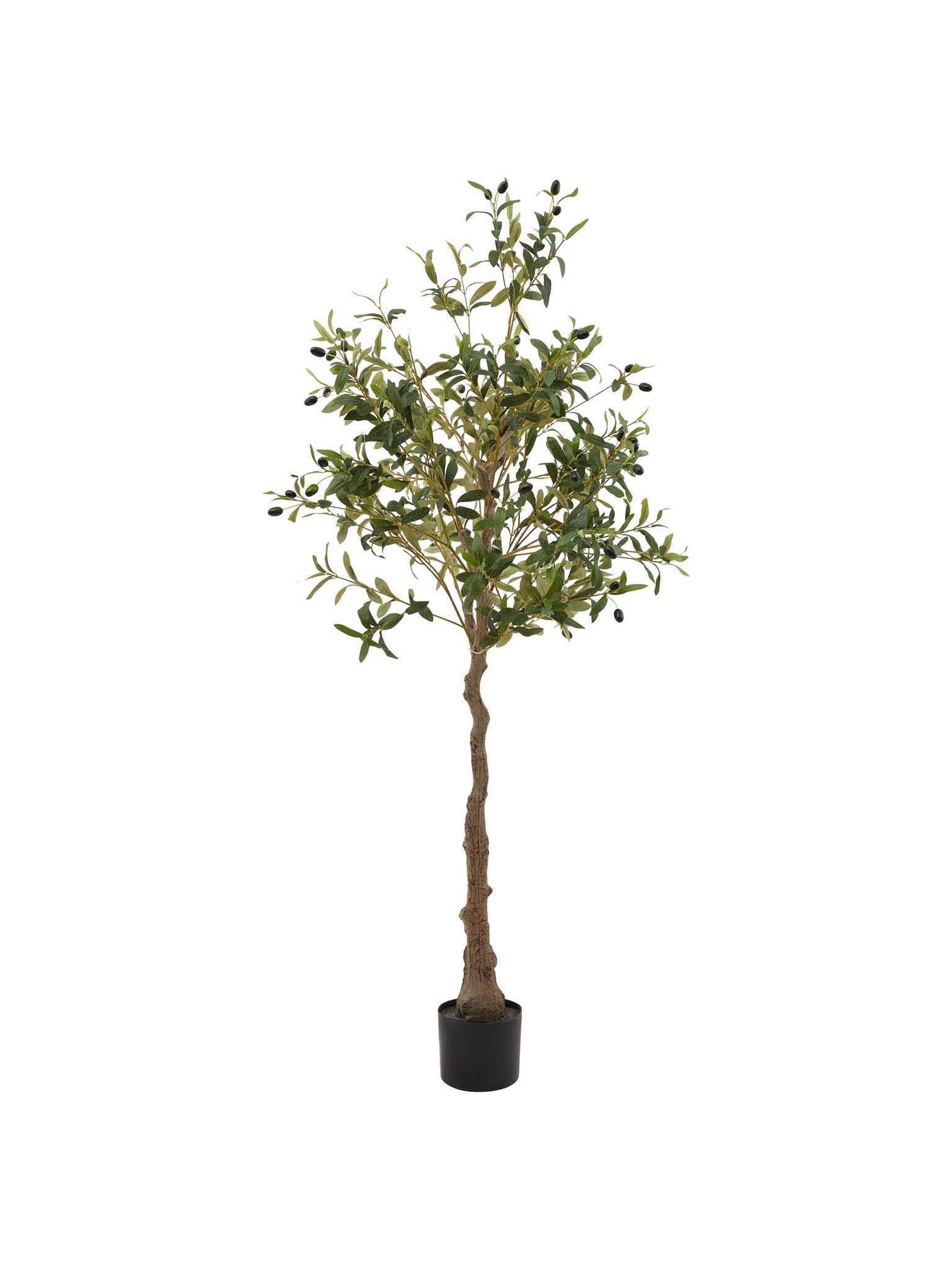 faux olive tree 