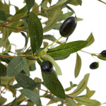 faux olive tree 