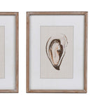 Oyster Framed Prints - Set of 2
