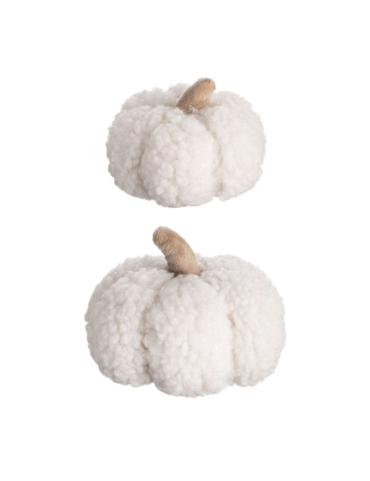 boucle pumpkins