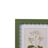 Scalloped Green Primose Prints - set of 2