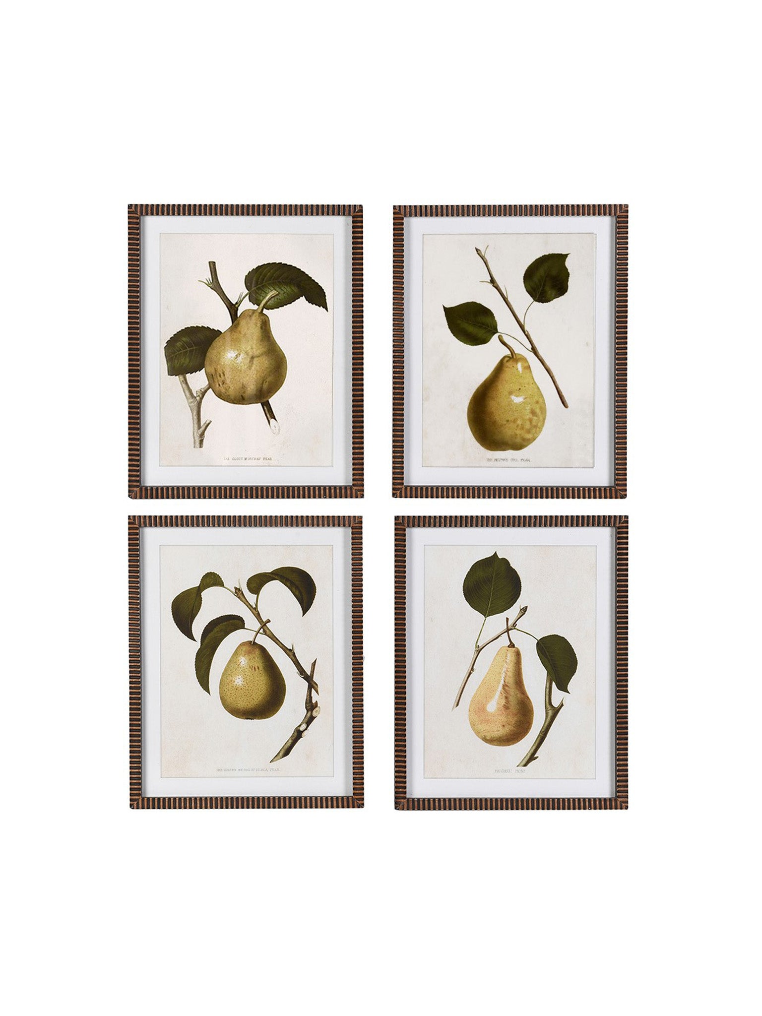 A set of four vintage-style framed prints featuring pears with leaves, displayed in a row.