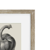 Vintage Bell Pepper Framed Print