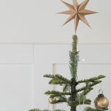 Natural Star Tree Topper