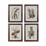 Set of 4 Pinecone Framed Prints