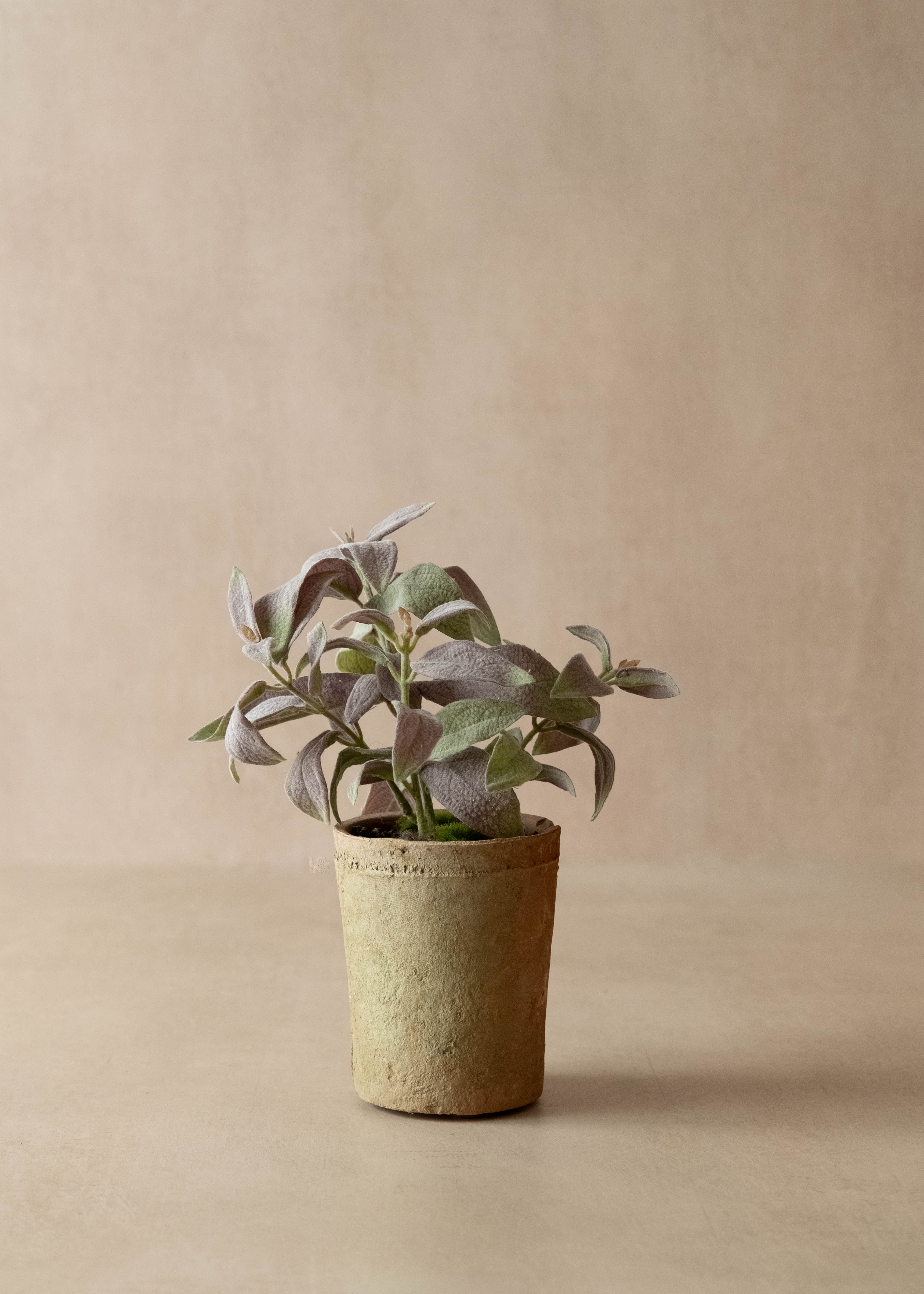 faux potted sage in terracotta