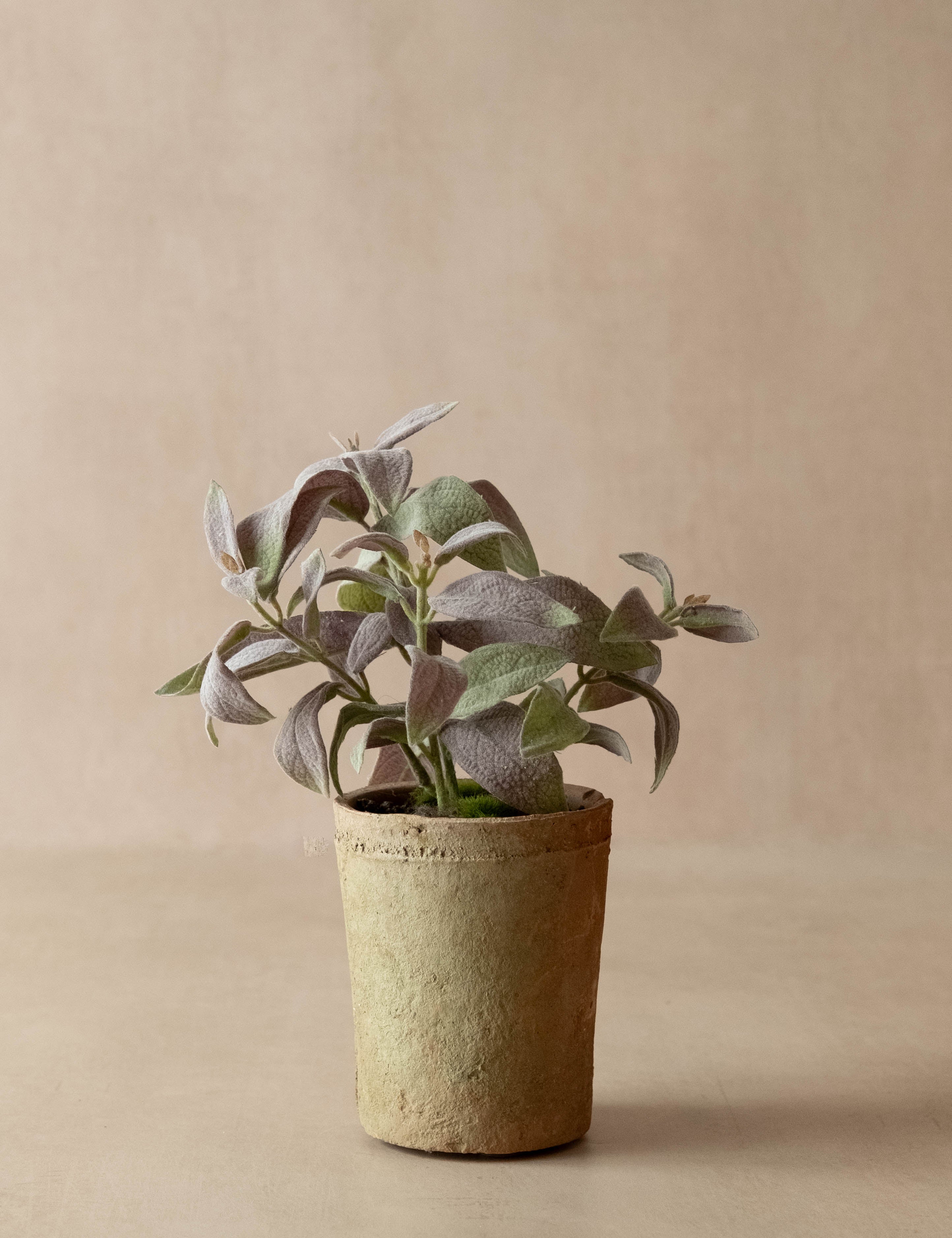 faux potted sage in terracotta