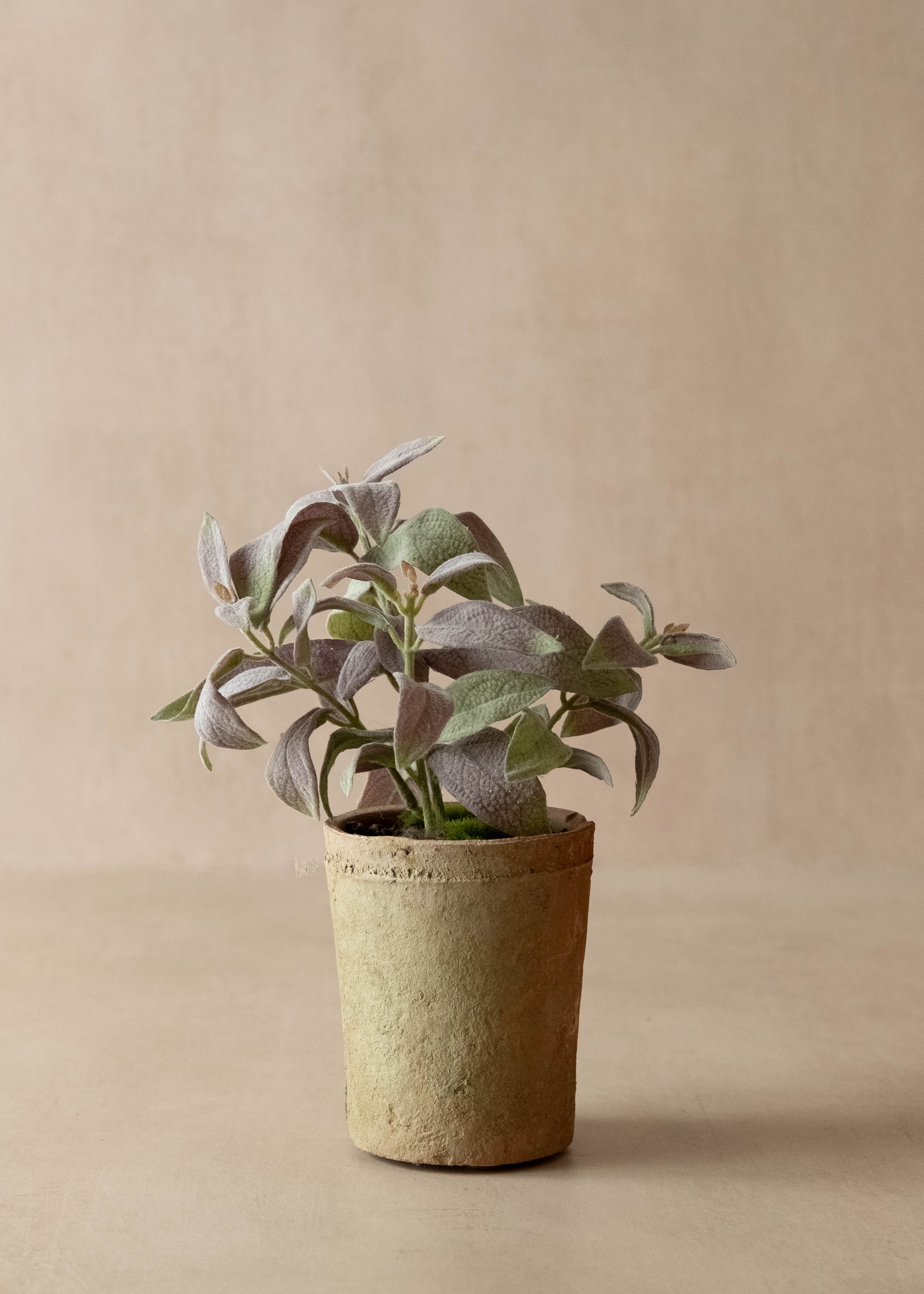 faux potted sage in terracotta