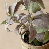 faux potted sage in terracotta