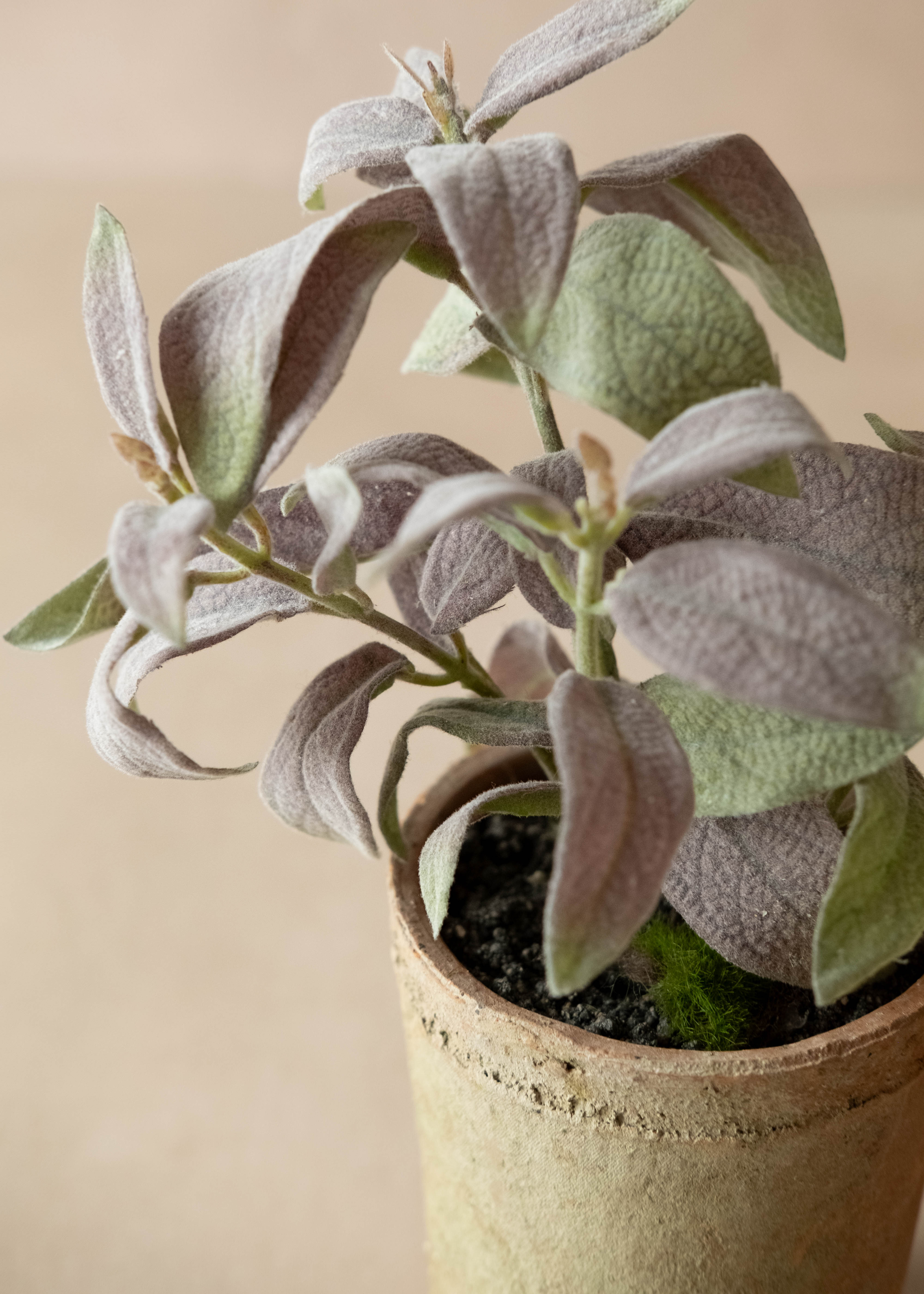 faux potted sage in terracotta