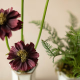 Mini Faux Cosmo & Ferns - set of 3