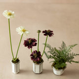 Mini Faux Cosmo & Ferns - set of 3