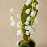 Mini Faux Lilly of the Valley in Ceramic Pot