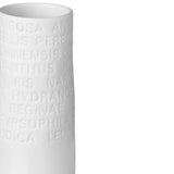 Porcelain Tall White Vase Small