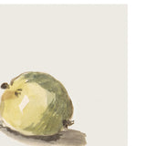 Two Apples Art Print