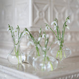 Set of 3 Marlyn Glass Vases