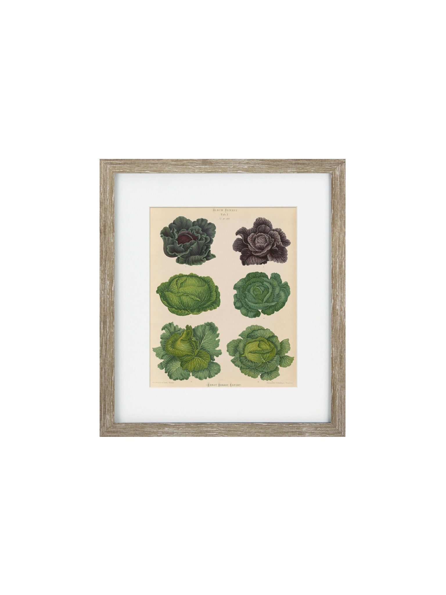  wooden Vintage Veg II Framed Art Print
