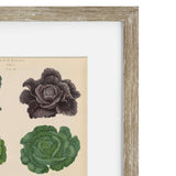 Vintage Veg II Framed Art Print