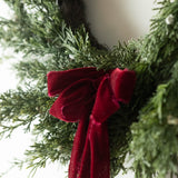 close up of a red velvet bow