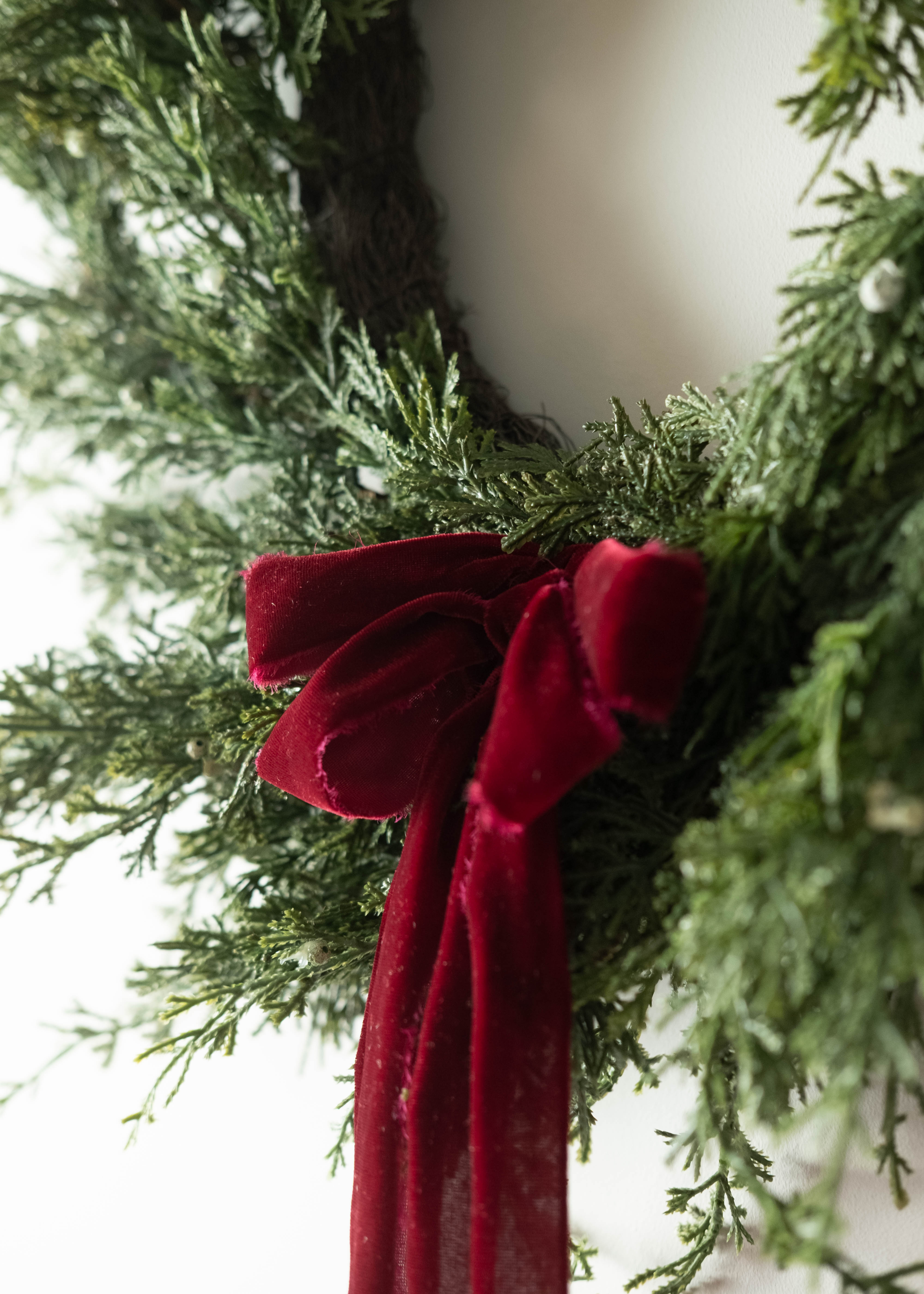 close up of a red velvet bow