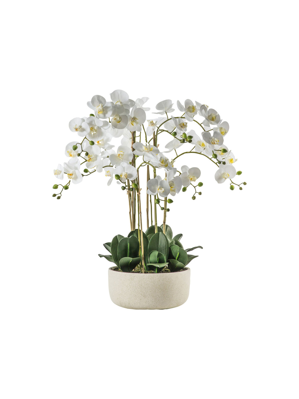 faux white orchid plant in white bowl