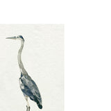 Saltwater Heron II